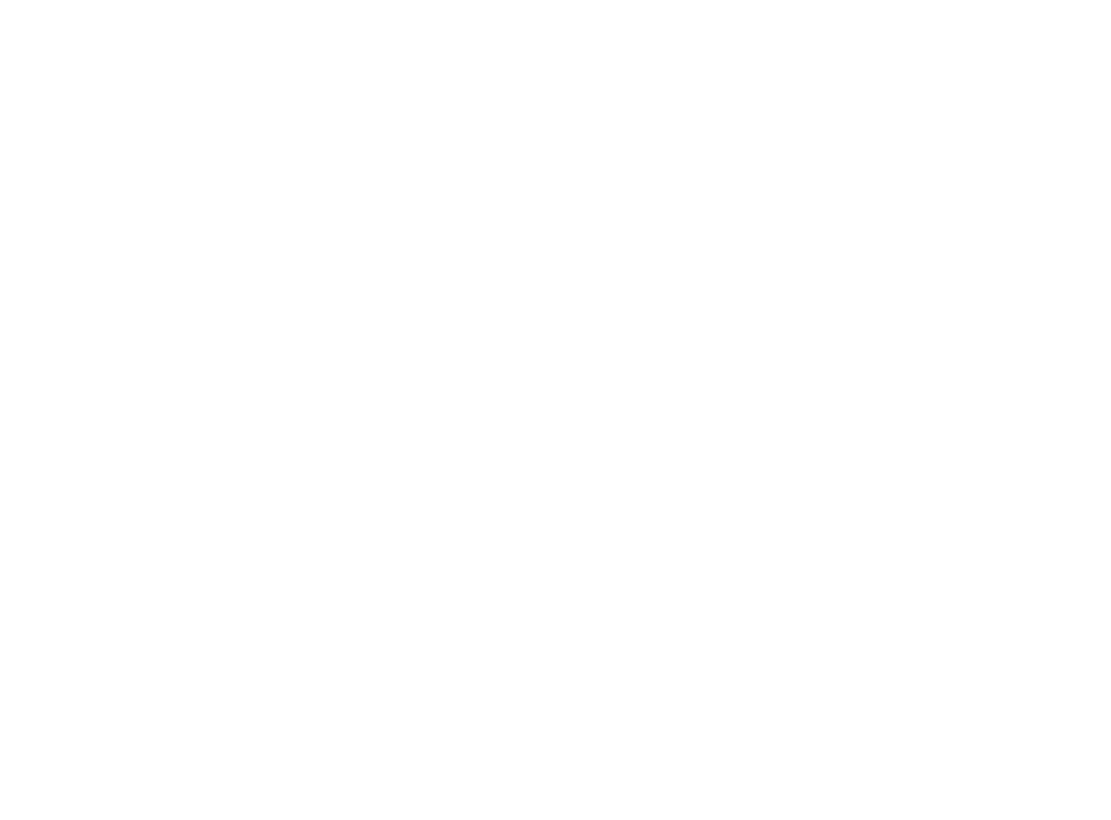 Iron Cat